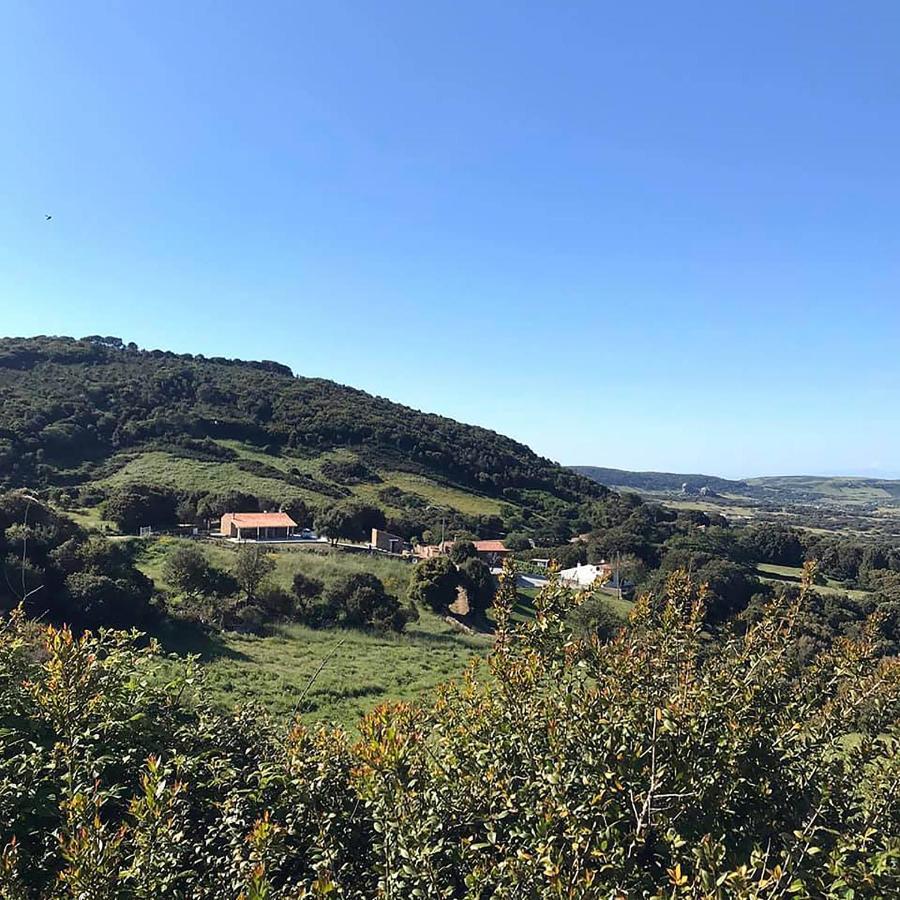 B&B La Tasgia Aggius Esterno foto