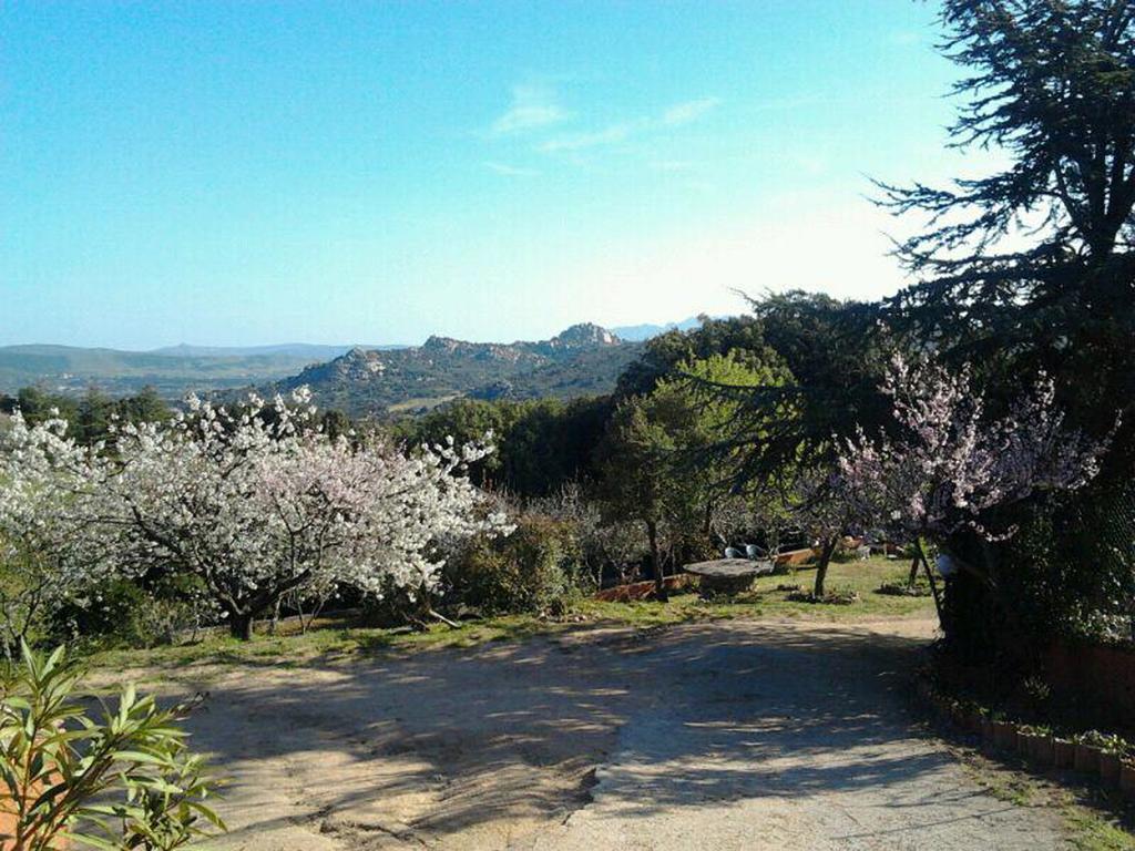 B&B La Tasgia Aggius Esterno foto