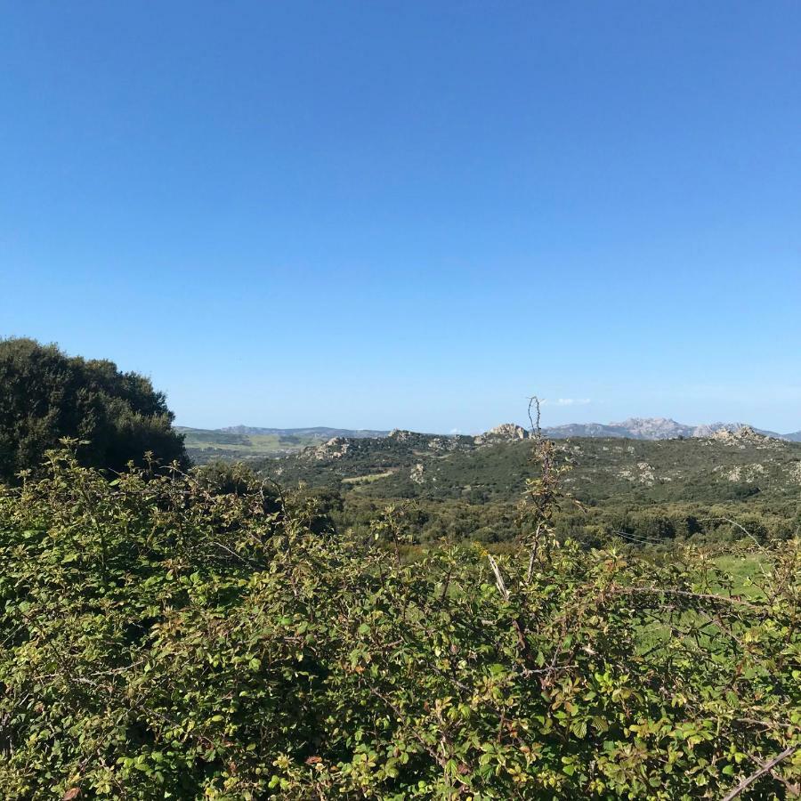 B&B La Tasgia Aggius Esterno foto