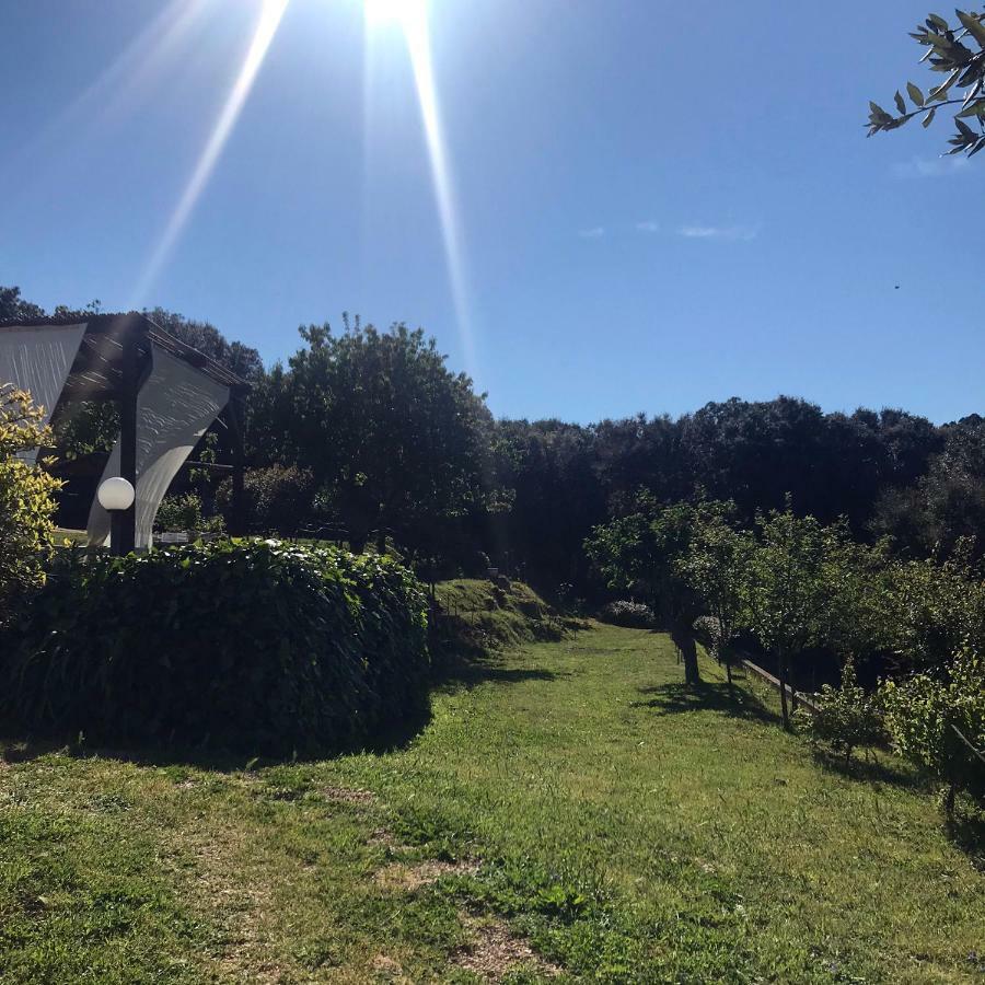 B&B La Tasgia Aggius Esterno foto