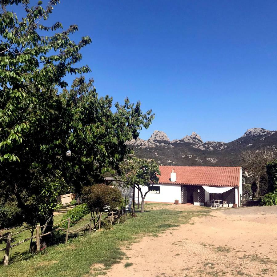B&B La Tasgia Aggius Esterno foto